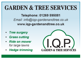 I.Q.P Garden & Tree Services serving Ammanford - Tree Surgeons