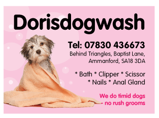 Dorisdogwash serving Ammanford - Dog Grooming