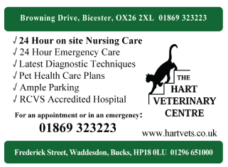 The Hart Veterinary Centre serving Bicester - Veterinary Surgeons