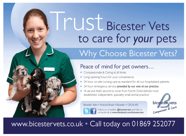 Bicester Vets serving Bicester - Veterinary Surgeons