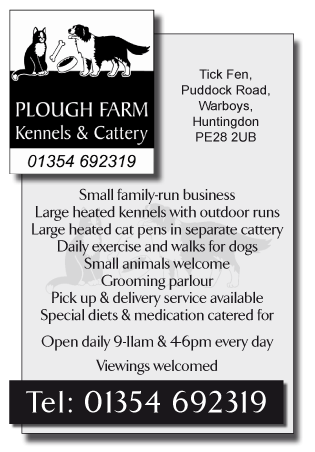 Plough Farm Kennels & Cattery serving March - Boarding Kennels & Catteries