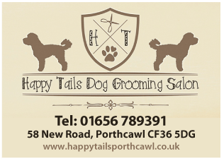 Happy Tails serving Porthcawl - Dog Grooming